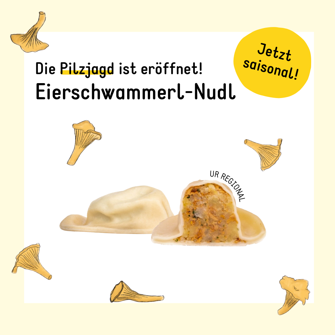 Hallo Eierschwammerl-Nudl(1)